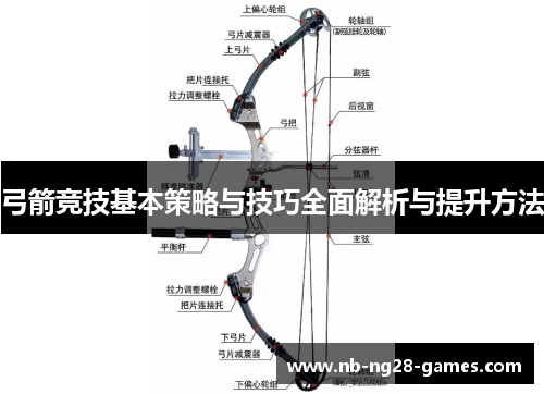 弓箭竞技基本策略与技巧全面解析与提升方法