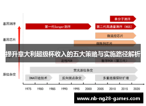 提升意大利超级杯收入的五大策略与实施路径解析