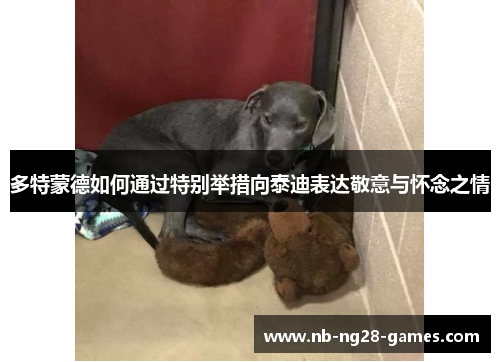 多特蒙德如何通过特别举措向泰迪表达敬意与怀念之情