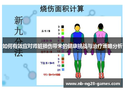 如何有效应对肾脏损伤带来的健康挑战与治疗策略分析 如何有效应对肾脏损伤带来的健康挑战与治疗策略分析